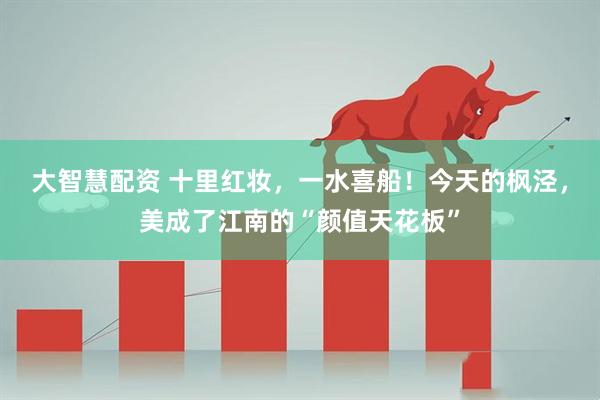 大智慧配资 十里红妆，一水喜船！今天的枫泾，美成了江南的“颜值天花板”