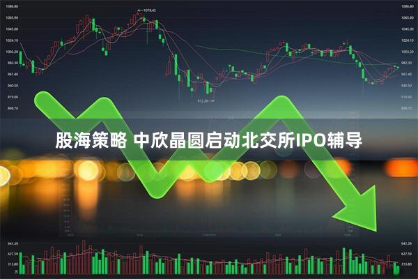 股海策略 中欣晶圆启动北交所IPO辅导