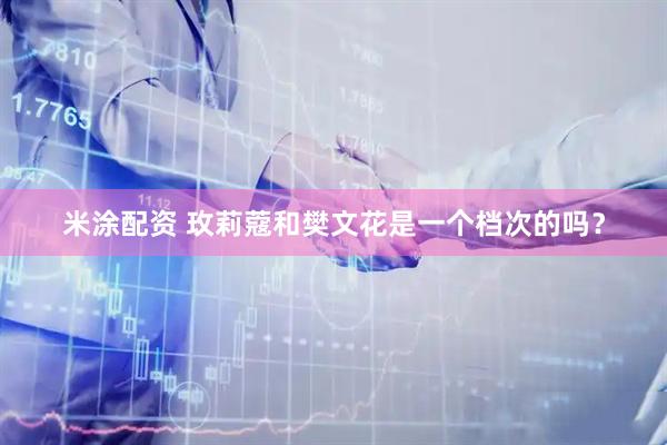 米涂配资 玫莉蔻和樊文花是一个档次的吗？